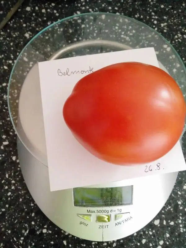 Tomaten: Belmonte (2021)