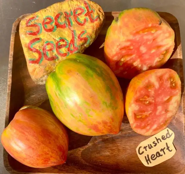 Tomaten: Crushed Heart