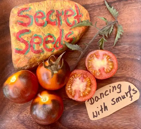 Tomaten: Dancing with Smurfs