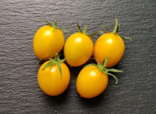 Tomaten: Dattelwein