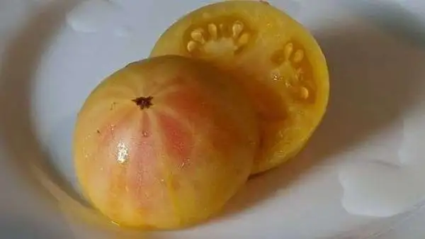 Tomaten: Dean’s Rainbow Dwarf