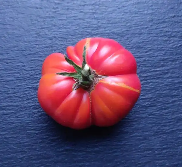 Tomaten: Dwarf Lucky Swirl