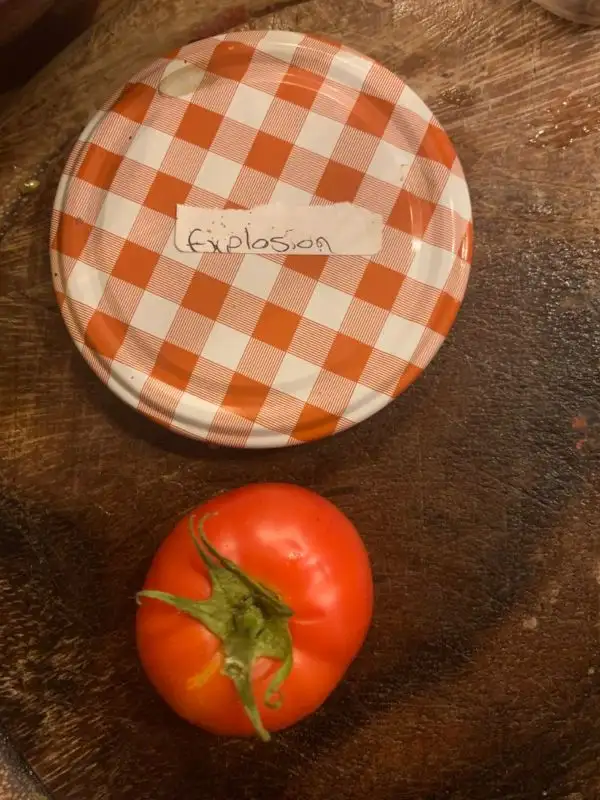 Tomaten: Explosion