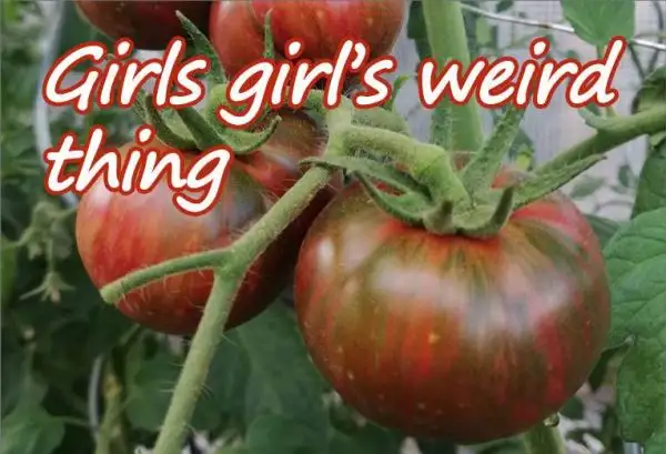 Tomaten: Girl Girls Weird Thing