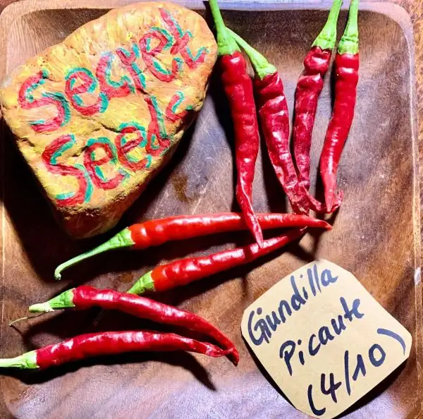 Chili / Paprika: Giundilla