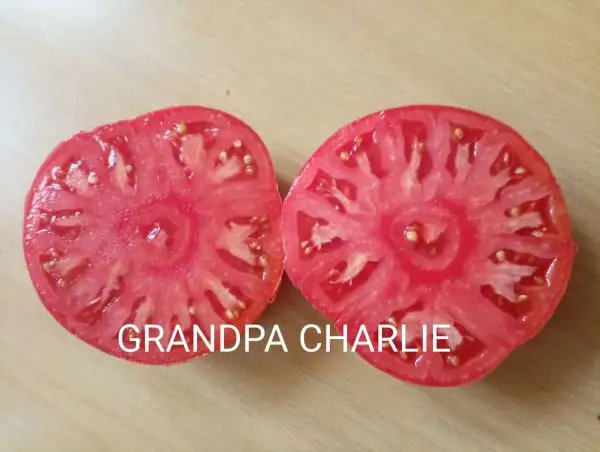 Tomaten: Grandpa Charlie