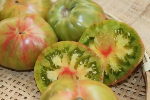 Tomaten: Harvard Square