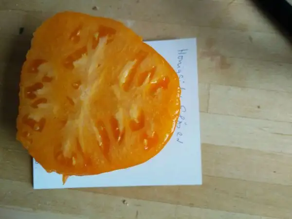 Tomaten: Honigsüßer Erlöser (2021)