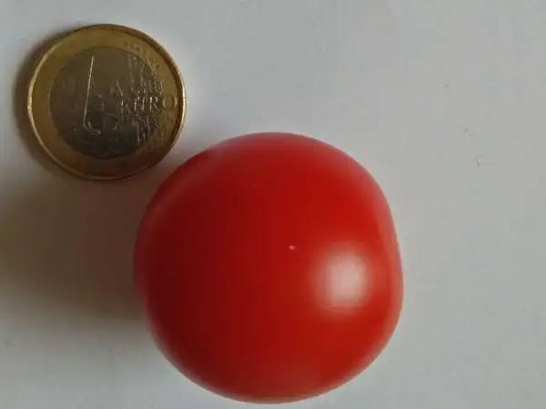 Tomaten: Huberts Beste (2021)