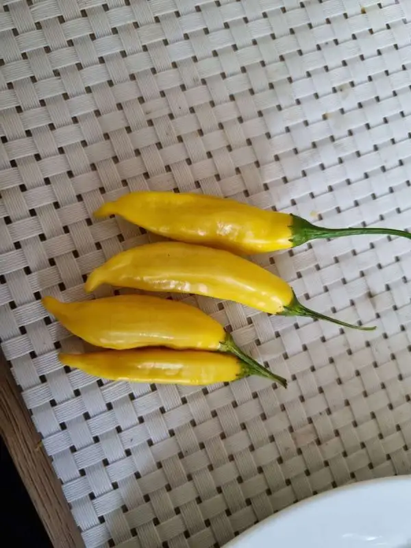Chili / Paprika: Lemon Drops