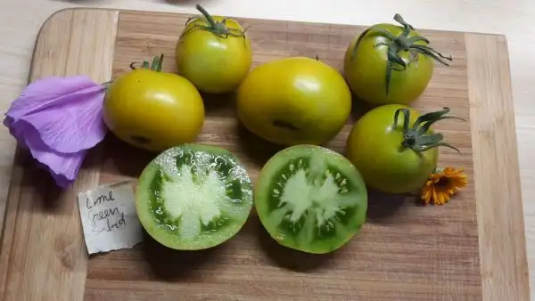 Tomaten: Lime Green Salad