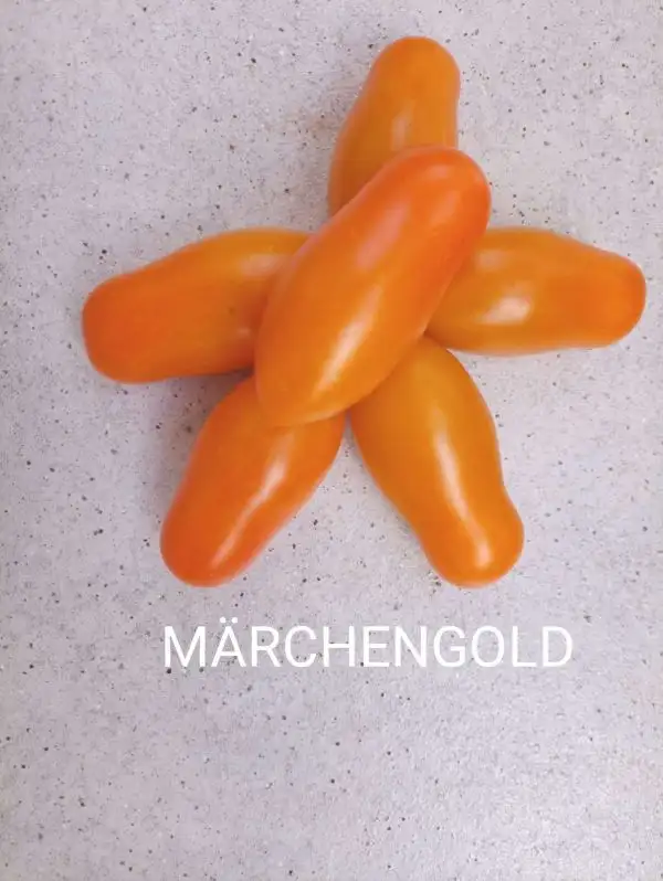 Tomaten: Märchengold
