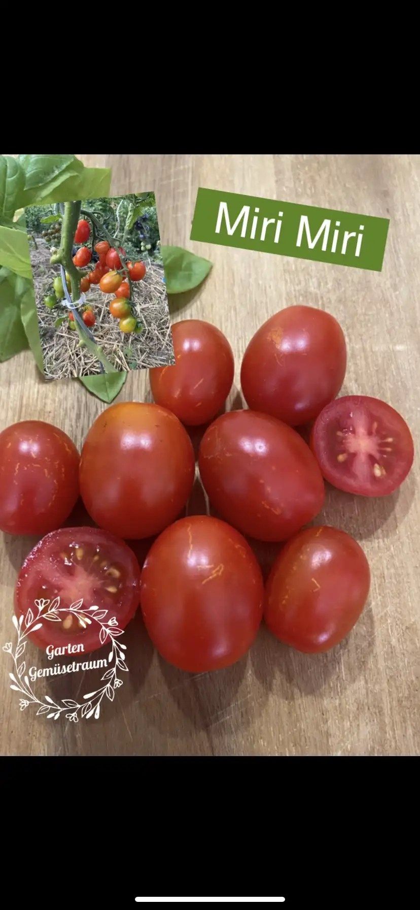 Tomaten: Miri Miri