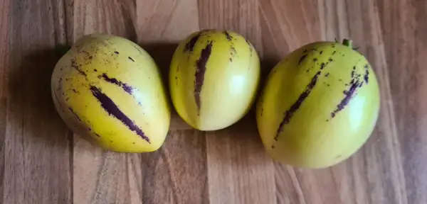 Melonen: Pepino/Melonenbirne