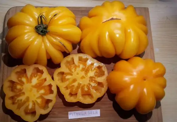 Tomaten: Pitanga gelb