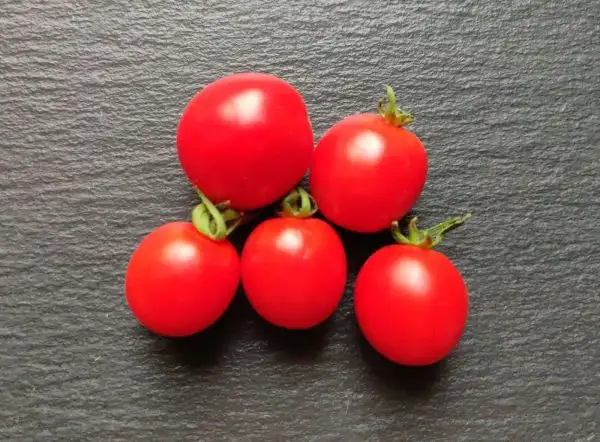 Tomaten: Red Alert