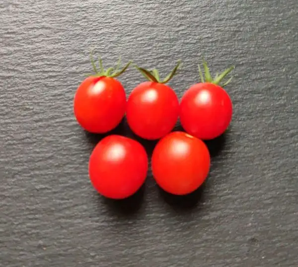 Tomaten: Red Grape