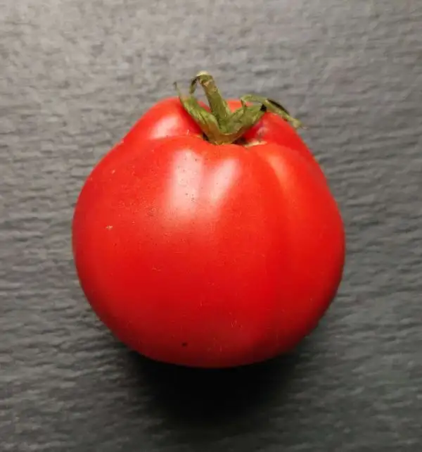 Tomaten: Red Pear SEL. Franchi
