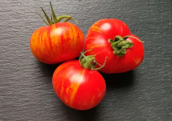 Tomaten: Red Zebra