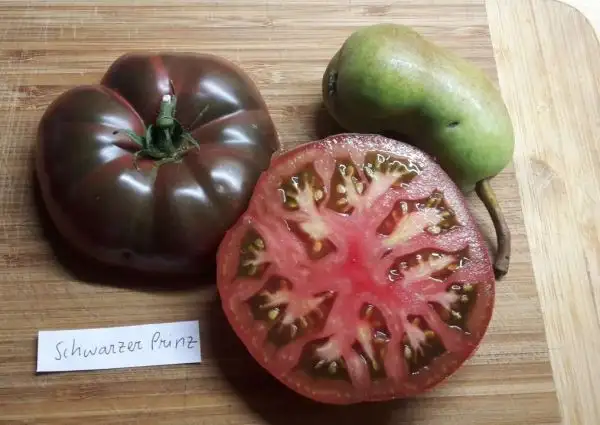 Tomaten: Schwarzer Prinz