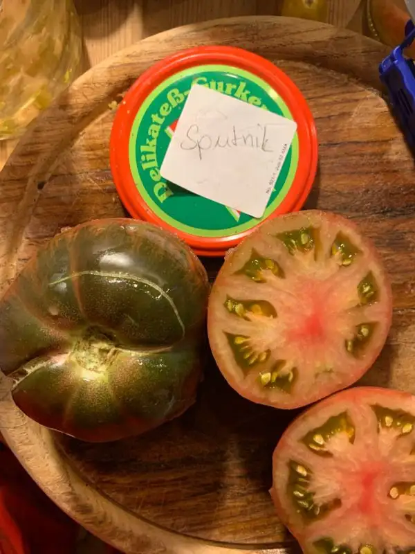Tomaten: Sputnik