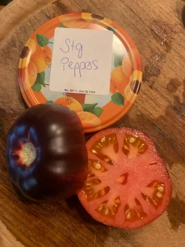 Tomaten: Stg peppers