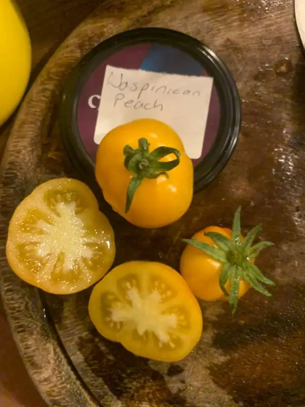 Tomaten: Waspinicon peach