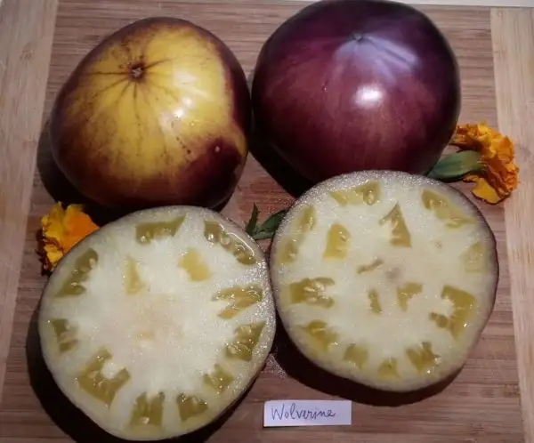 Tomaten: Wolverine
