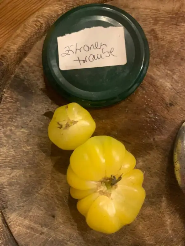 Tomaten: Zitronentraube